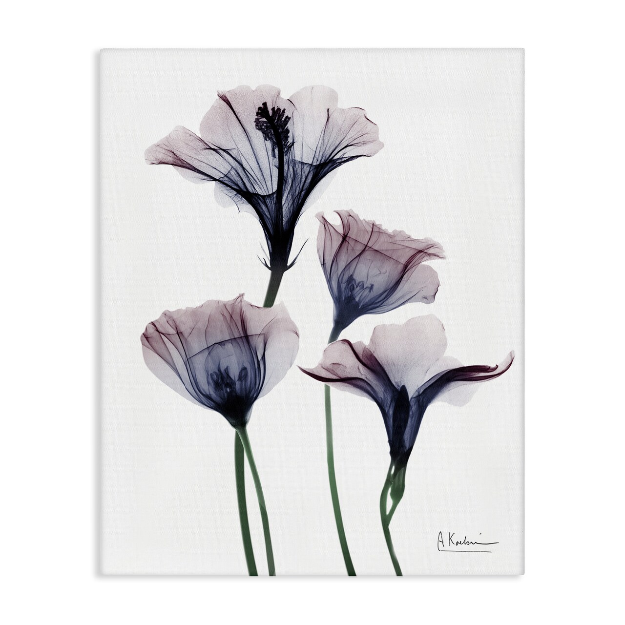 Stupell Industries Bountiful Dusk Flowers Canvas Design by Albert Koetsier
